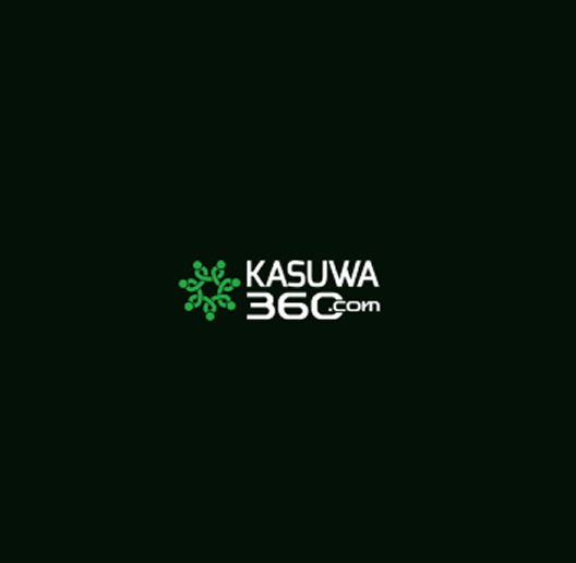 Kasuwa 360 preview